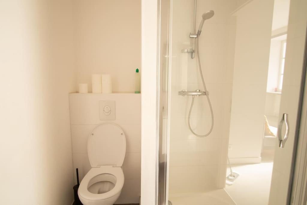 Saint-Thomas - Joli T2 Dans Strasbourg Apartamento Exterior foto